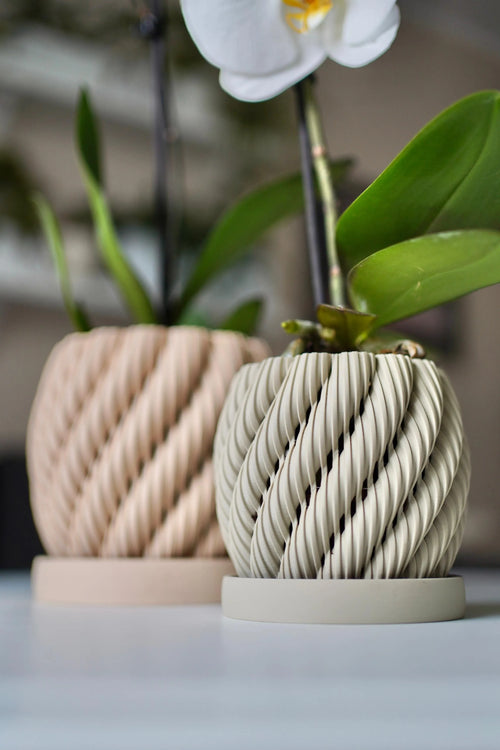 Orchidee Bloempot Twist