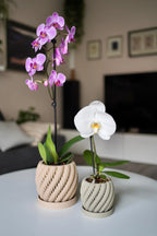 Orchidee Bloempot Twist