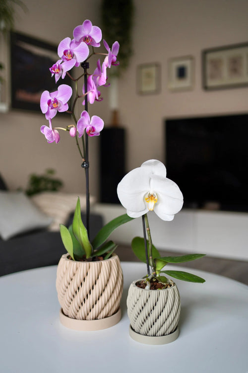 Orchidee Bloempot Twist