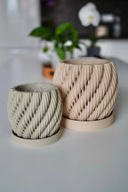 Orchidee Bloempot Twist