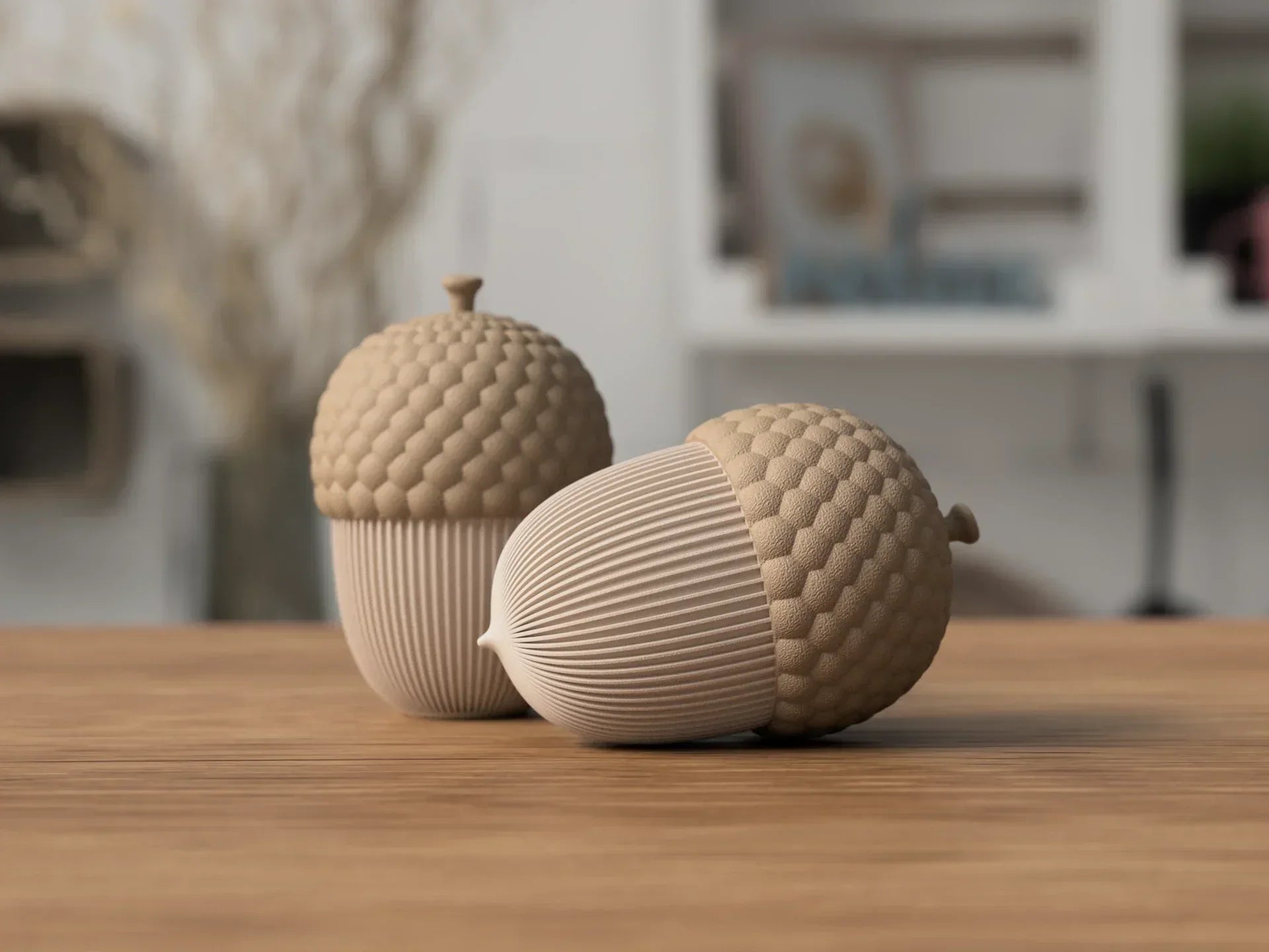 Acorn Eikel containers