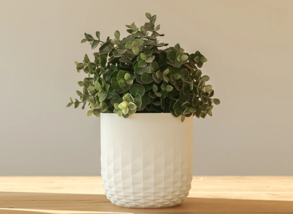 Bloempot vervagende diamant