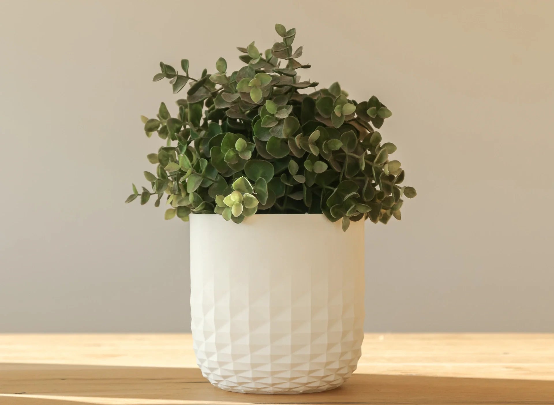 Bloempot vervagende diamant