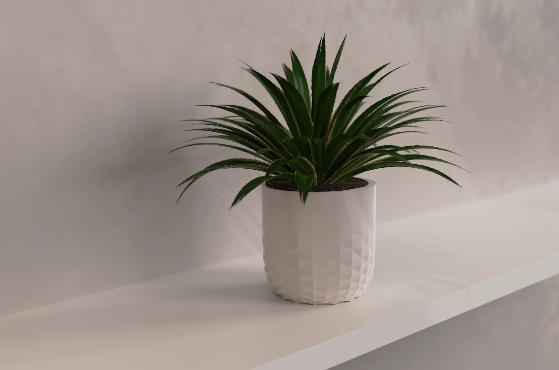 Bloempot vervagende diamant