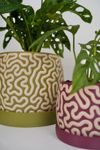 Coralin – Organische Plantenpot