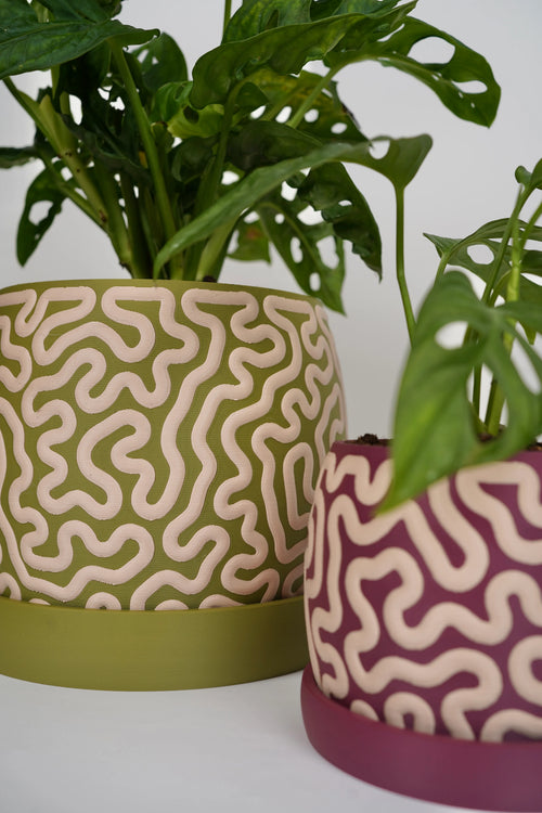 Coralin – Organische Plantenpot