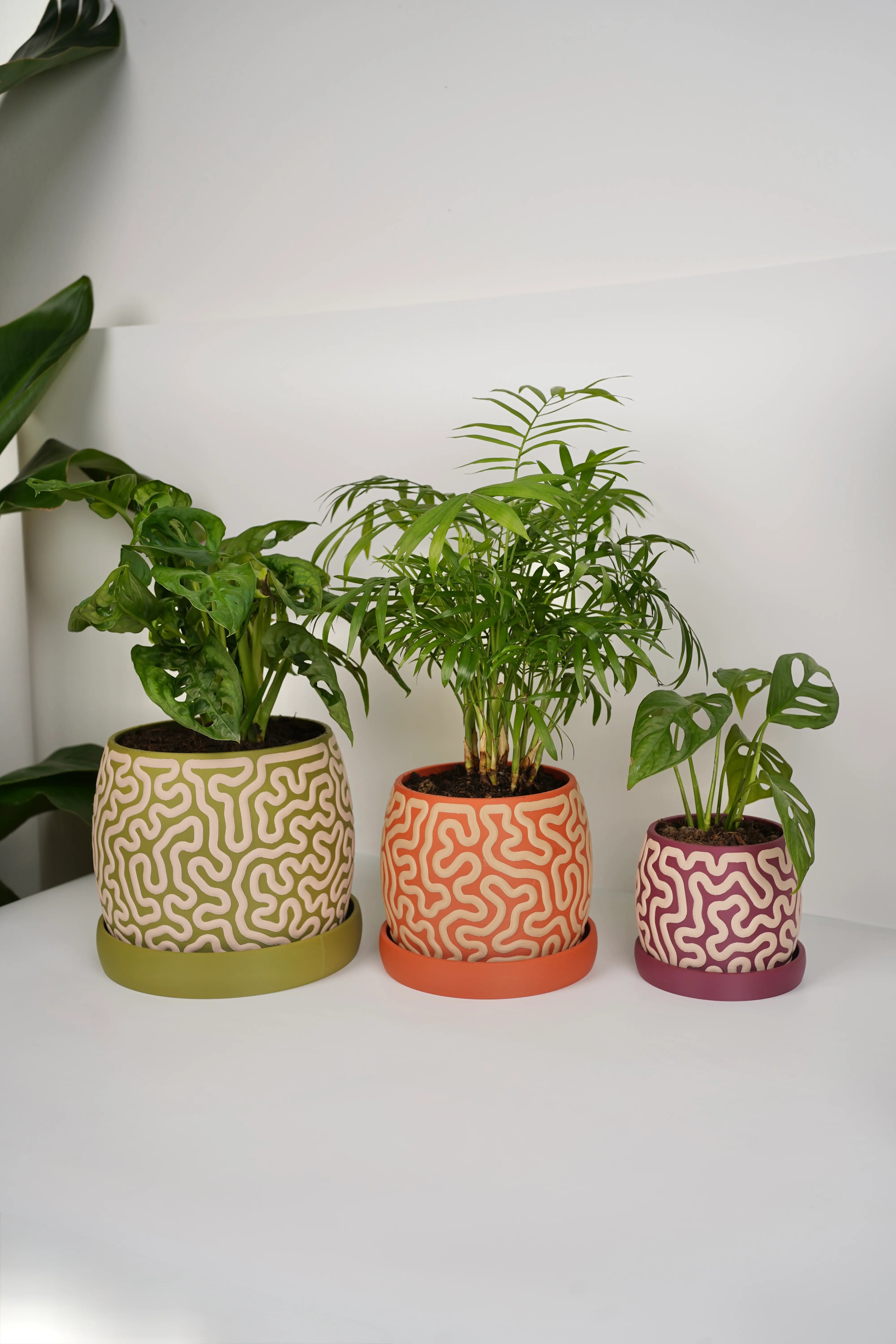 Coralin – Organische Plantenpot