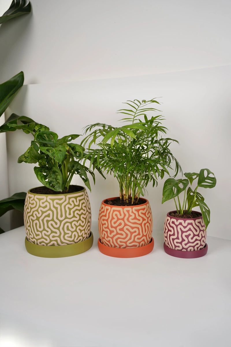 Coralin – Organische Plantenpot