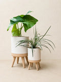 LENTRA bloempot met poten. Moderne 3D-geprinte bloempot