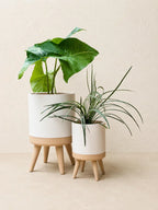 LENTRA bloempot met poten. Moderne 3D-geprinte bloempot
