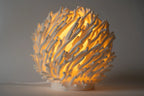 O7 Coral Sculpted Lamp