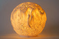 O9 Reef Sculpted Lamp