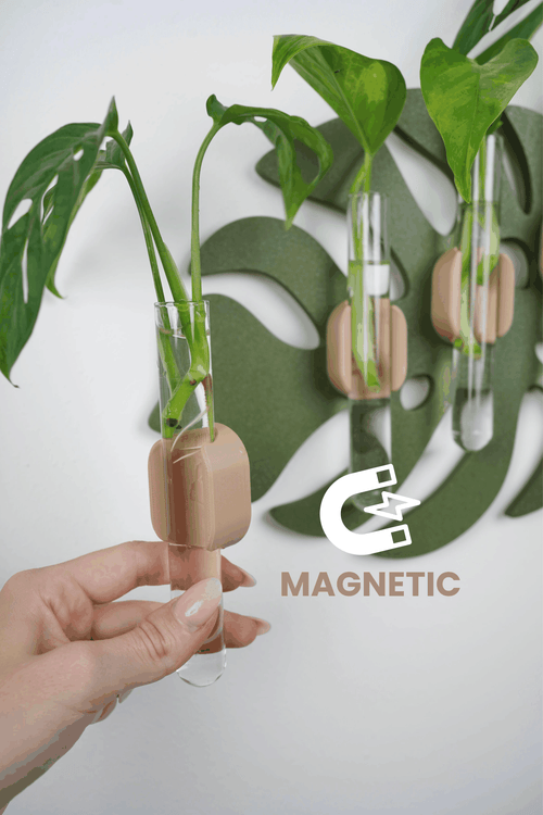 Stekjes houder Monstera