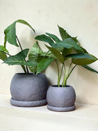 MORRA Bloempotten en Catch-all Tray met Kleistructuur