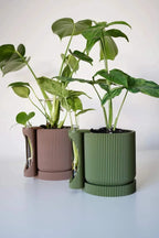 Twinia bloempot met houder voor stekbuizen