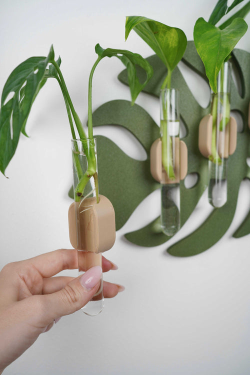 Stekjes houder Monstera